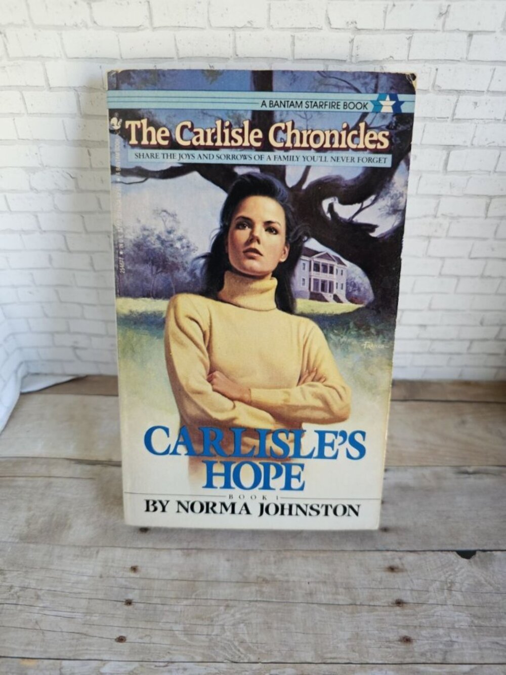 Vintage Carlisle’s Hope Norma Johnston Bantam Starfire YA Paperback 1986 Book